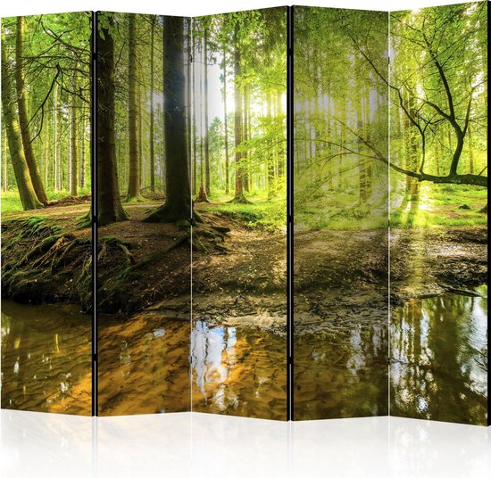 Kamerscherm - Scheidingswand - Vouwscherm - Forest Lake II [Room Dividers] 225x172 - Artgeist Vouwscherm