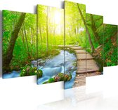 Schilderijen Op Canvas - Schilderij - Sunny Forest 100x50 - Artgeist Schilderij