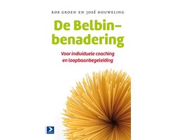 De Belbin-benadering
