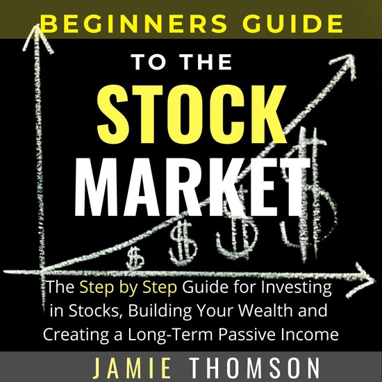 BEGINNERS GUIDE TO THE STOCK MARKET - cover
