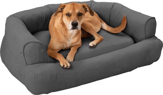 dramatisch Voeding Feest Snoozer Pet Products - Luxury Orthopedisch Hondenbed met Memory Foam -  Anthracite-Small | bol.com