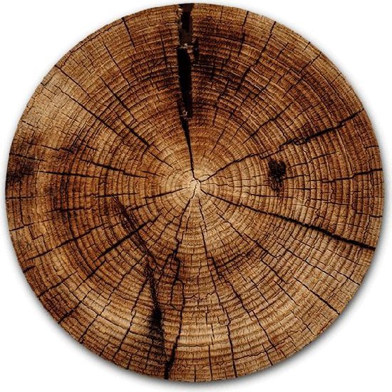 Cercle mural Tronc d'arbre | Plastique 100 cm | Peintures rondes | Décoration murale nature et botanique | Texture de bois de cercle de mur sur le Forex