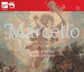 Marcello Concertos A Cinque 3-Cd (Jun12)