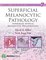 Consultant Pathology 7 - Superficial Melanocytic Pathology