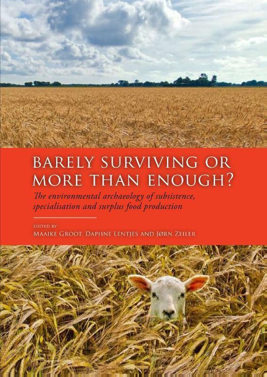 Barely Surviving or More than Enough? - cover