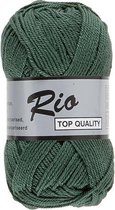 Lammy yarns Rio katoen garen - donker groen (072) - pendikte 3 a 3,5 mm - 1 bol van 50 gram