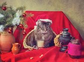 Diamond Painting Pakket - Serie Kerstmis - Kat aan Tafel - 40x30 cm - Complete Set - Volledige Bedekking - Ronde Steentjes