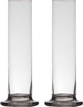 2x stuks transparante luxe stijlvolle 1 bloem vaas/vazen van glas 30 x 6 cm - Roos met Valentijn vaas voor binnen