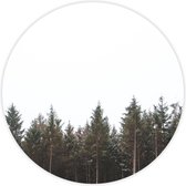 Behangcirkel Into the woods zelfklevend 120cm doorsnede | wandcirkel | muurcirkel | wooncirkel