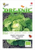 Buzzy® Organic Kropsla Hilde (BIO)