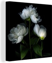 Pivoines Witte sur fond noir Toile 50x50 cm - Tirage photo sur toile (Décoration murale salon / chambre) / Peintures Fleurs sur toile