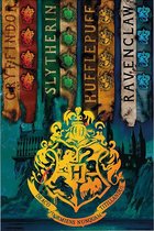 GBeye Harry Potter House Flags  Poster - 61x91,5cm