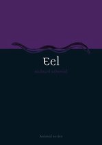 Animal - Eel