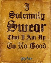 Harry Potter I Solomnly Swear Poster 40x50cm