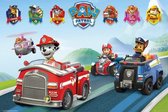 GBeye Poster - Paw Patrol Vehicles - 61 X 91.5 Cm - Multicolor