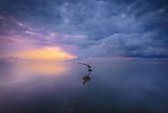 Fotobehang - Wetland Sunrise 384x260cm - Vliesbehang