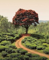Wizard + Genius Red Tree And Hills In Sri Lanka Fleece Papier peint Papier peint photo 192x260cm 4 voies