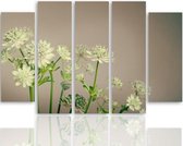 Schilderij , Bloemen in de mist  , multikleur ,4 maten , 5 luik , wanddecoratie , Premium print , XXL