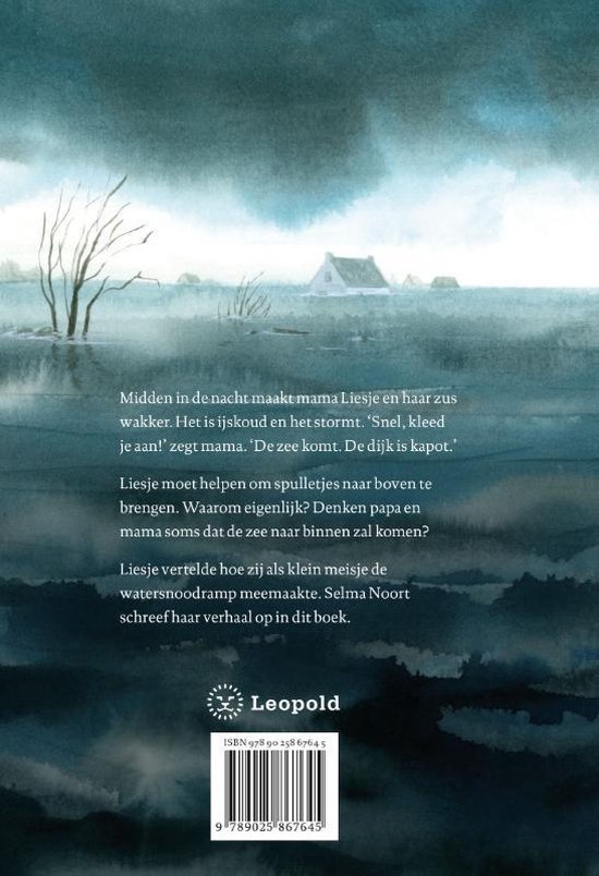 Achterkant boek "De zee kwam door de brievenbus". Overstromend landschap met huis, boot en tekst.