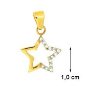 Blinx Jewels Vergulden Hanger Ster Steentjes Zirkonia