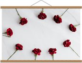 Schoolplaat – Kring van Rode Bloemen - 90x60cm Foto op Textielposter (Wanddecoratie op Schoolplaat)