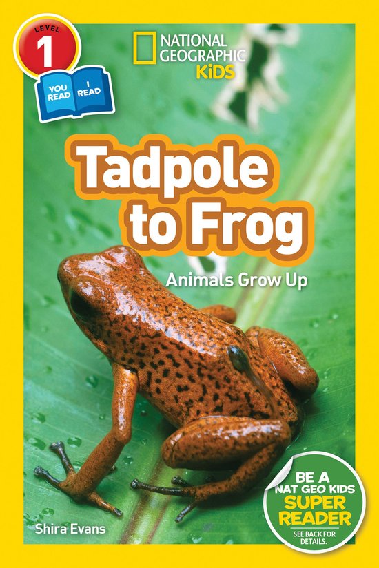 National Geographic Kids Readers 1 - Tadpole to Frog (Nation ... - cover