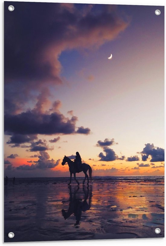 Tuinposter – Paard aan Zee met Zonsondergang  - 60x90cm Foto op Tuinposter  (wanddecoratie voor buiten en binnen)