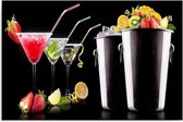 Schilderij Cocktails en fruit, 4 maten (wanddecoratie)