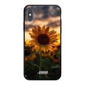 iPhone X Hoesje TPU Case - Sunset Sunflower #ffffff