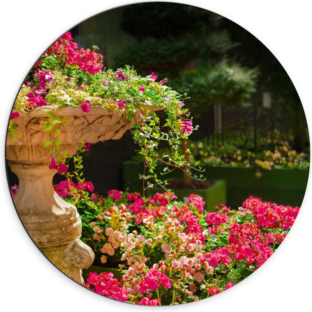 Dibond Wandcirkel - Roze Bloemenstruik met Fontein - 70x70cm Foto op Aluminium Wandcirkel