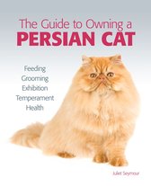 Guide to Owning a Persian Cat