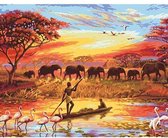 Painting Expert® Schilderen op nummer Volwassenen – Schilderen op nummer Kinderen - Afrika - 60x75cm - Op Lijst Gemonteerd (36 kleurtjes)
