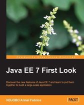 Java EE 7 First Look