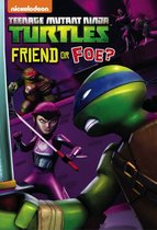 Teenage Mutant Ninja Turtles - Friend or Foe? (Teenage Mutant Ninja Turtles)
