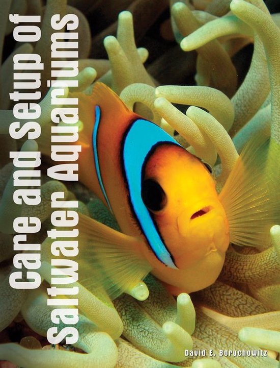 Care and Setup of Saltwater Aquariums (ebook), David E. Boruchowitz