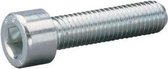 inbusbout M6 x 20 mm RVS 25 stuks