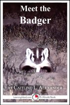 15-Minute Books - Meet the Badger: A 15-Minute Book for Early Readers
