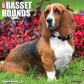 Just Basset Hounds 2021 Calendar