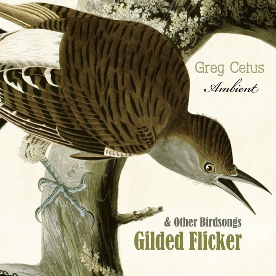 Gilded Flicker and Other Birdsongs - cover