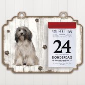 Scheurkalender 2023 Hond: Tibetaanse TerriÃ«r