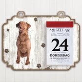 Scheurkalender 2023 Hond: Chesapeake Bay Retriever