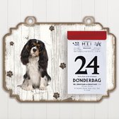 Scheurkalender 2023 Hond: King Charles