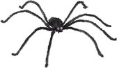 "Gigantische spin met lichtgevende ogen Halloween  - Feestdecoratievoorwerp - One size"