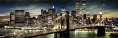 Manhattan Nacht Met Maan Poster 158x53cm