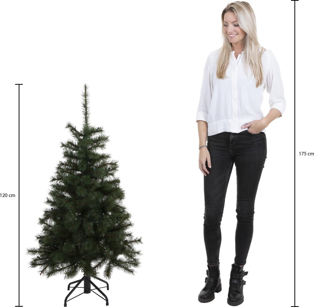 Weihnachtsbaum Frasier Grün 120 cm Black Box Trees