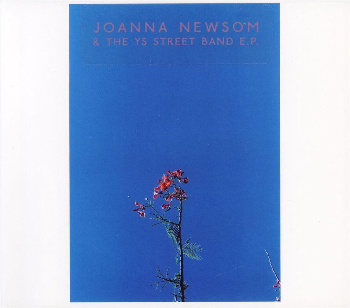 Joanna Newsom & The Ys St Band