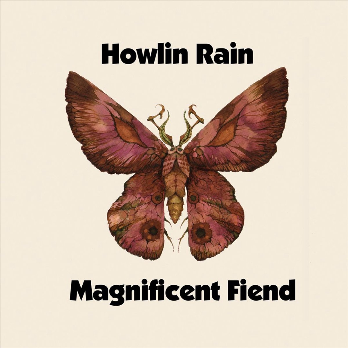 Magnificent Friend