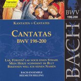 Bach-Ensemble, Helmuth Rilling - J.S.Bach: Cantatas Bwv 198-200 (CD)