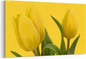Schilderij - Gele tulpen — 100x70 cm