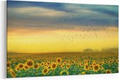 Schilderij - Zonnebloemen veld — 100x70 cm